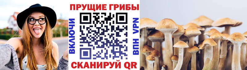 Псилоцибиновые грибы ЛСД  Раменское 